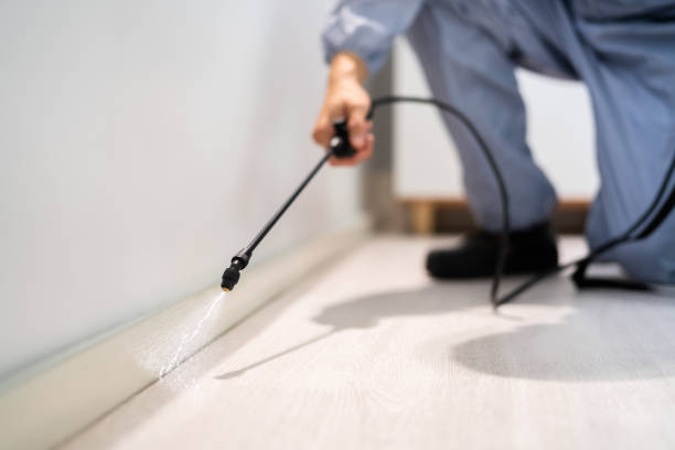 Professional exterminator conducting IPM assessment in Easton
